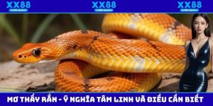 Mơ Thấy Rắn - Ý Nghĩa Tâm Linh Và Những Điều Cần Biết